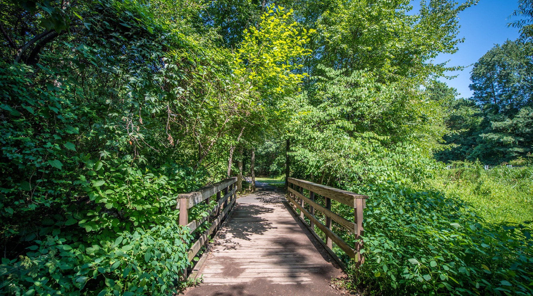Walking trails and lush landscaping Walking trails and lush landscaping