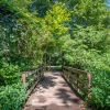 Walking trails and lush landscaping