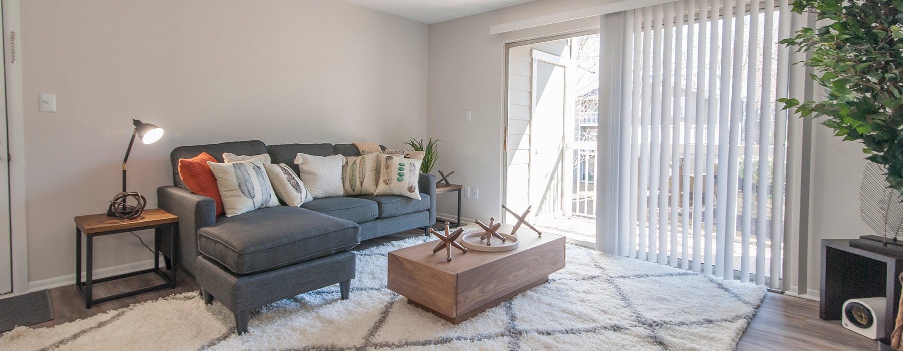 Open space living area with natural lighting